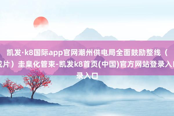 凯发·k8国际app官网潮州供电局全面鼓励整线（成片）圭臬化管束-凯发k8首页(中国)官方网站登录入口