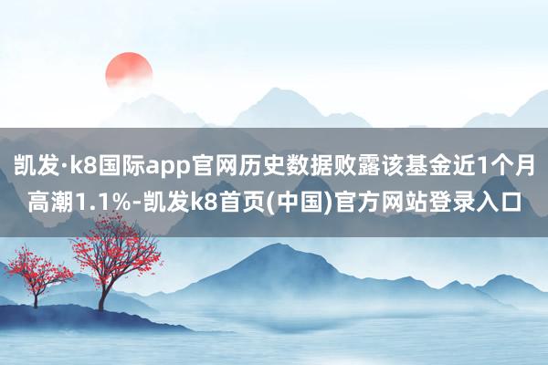 凯发·k8国际app官网历史数据败露该基金近1个月高潮1.1%-凯发k8首页(中国)官方网站登录入口