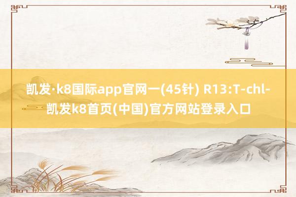 凯发·k8国际app官网一(45针) R13:T-chl-凯发k8首页(中国)官方网站登录入口